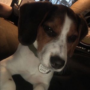 Meet your Posher, Jordan